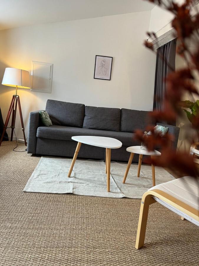 ルヴェルLoft Cosy - Centre Historique Climatiseアパートメント エクステリア 写真