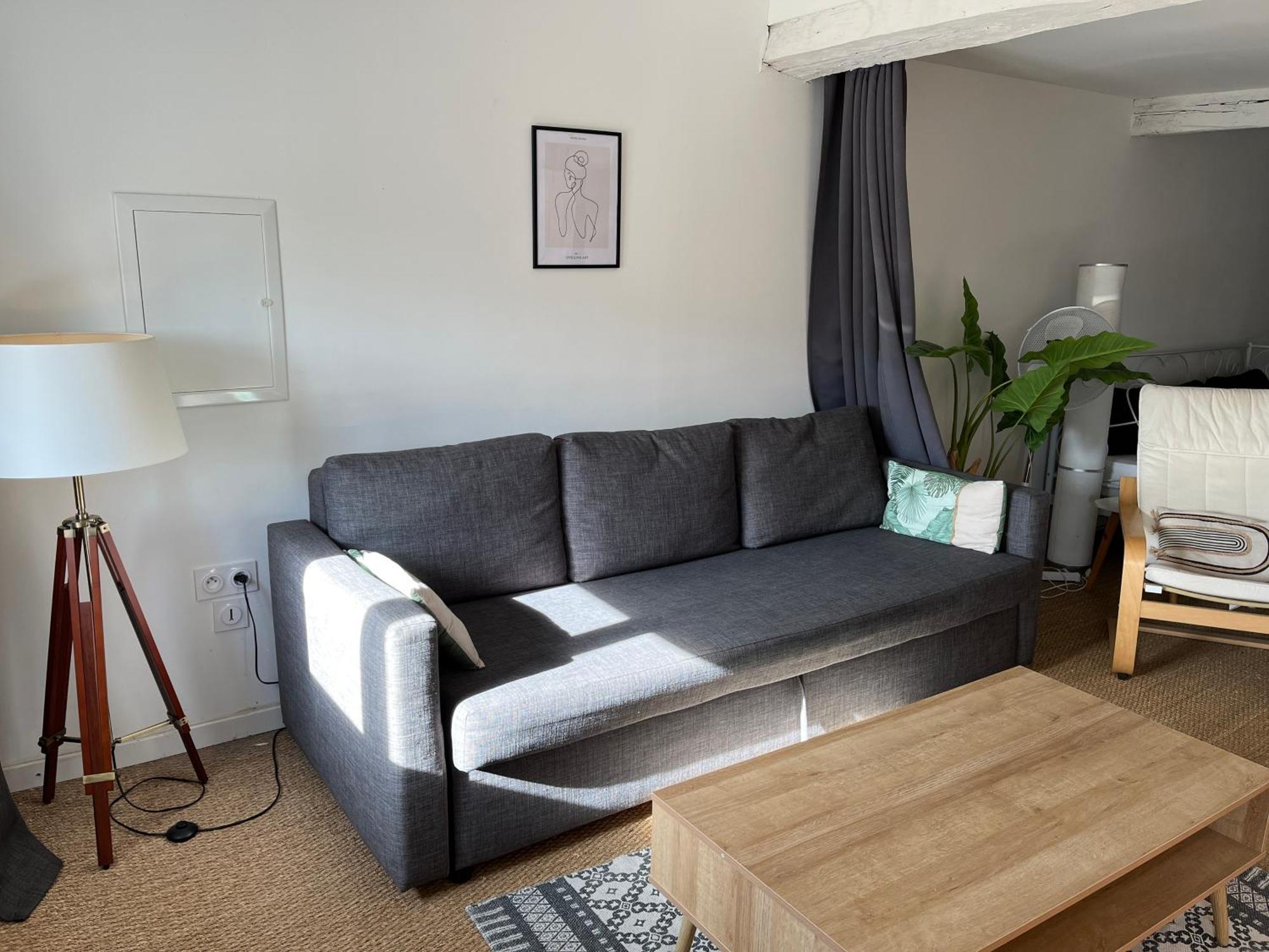 ルヴェルLoft Cosy - Centre Historique Climatiseアパートメント エクステリア 写真